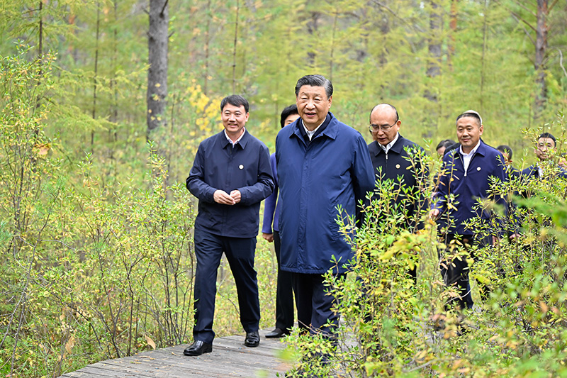 9月6日至8日，中共中央總書(shū)記、國(guó)家主席、中央軍委主席習(xí)近平在黑龍江考察。這是6日下午，習(xí)近平在大興安嶺地區(qū)漠河市漠河林場(chǎng)自然林區(qū)考察